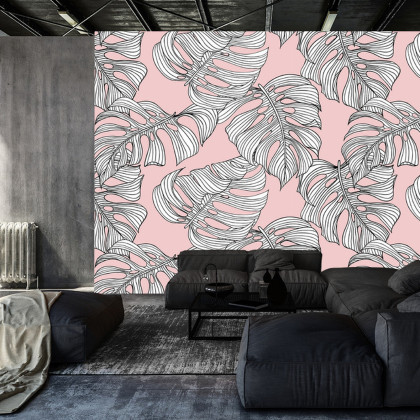 Fototapeta Liście Monstera