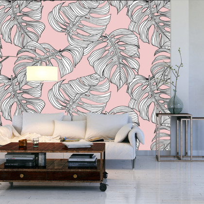 Fototapeta Liście Monstera