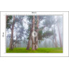 Fototapeta Las We Mgle