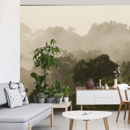 Fototapeta Las We Mgle