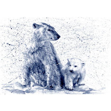 Fototapeta Niedźwiedzie Polarne