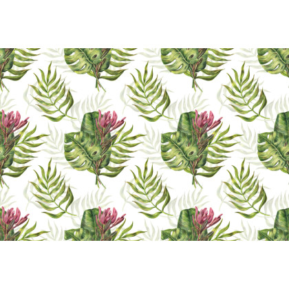 Fototapeta Liście Monstera