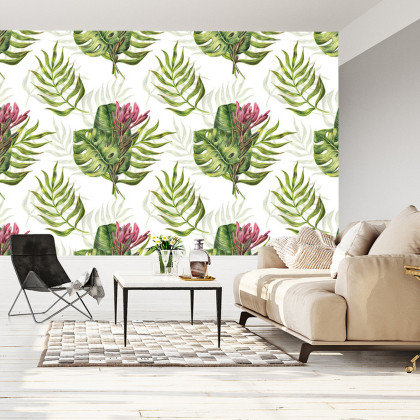 Fototapeta Liście Monstera