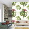 Fototapeta Liście Monstera