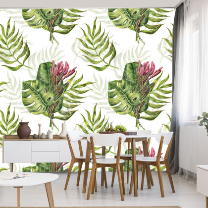 Fototapeta Liście Monstera