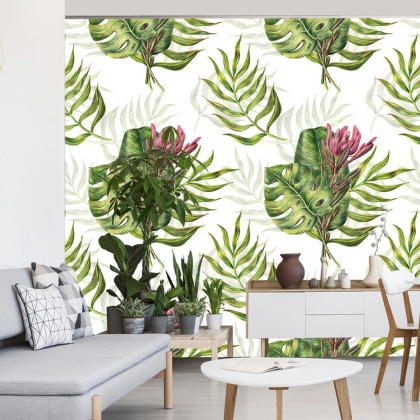 Fototapeta Liście Monstera