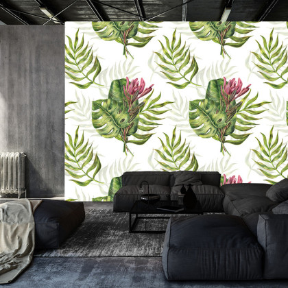 Fototapeta Liście Monstera