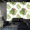 Fototapeta Liście Monstera