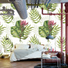 Fototapeta Liście Monstera
