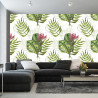 Fototapeta Liście Monstera