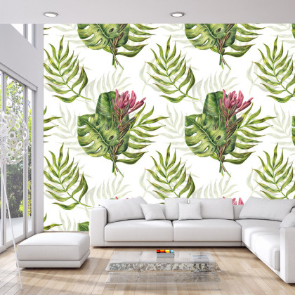Fototapeta Liście Monstera