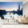 Fototapeta Panorama Londynu