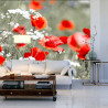 Fototapeta Dzikie Czerwone Maki