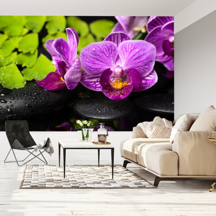 Fototapeta Orchidea Spa