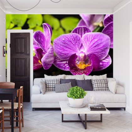 Fototapeta Orchidea Spa