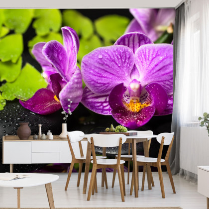 Fototapeta Orchidea Spa