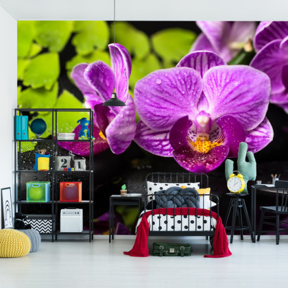 Fototapeta Orchidea Spa
