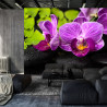 Fototapeta Orchidea Spa