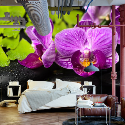 Fototapeta Orchidea Spa