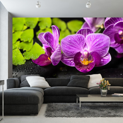 Fototapeta Orchidea Spa