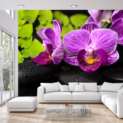 Fototapeta Orchidea Spa