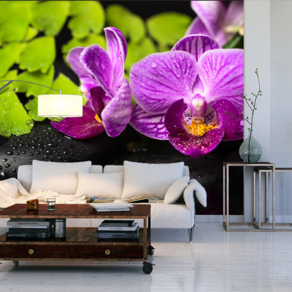 Fototapeta Orchidea Spa