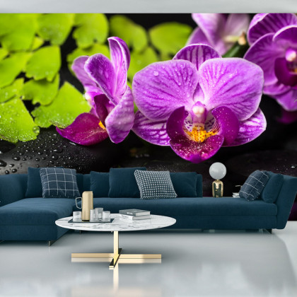 Fototapeta Orchidea Spa