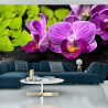 Fototapeta Orchidea Spa