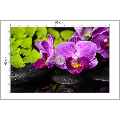 Fototapeta Orchidea Spa