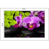 Fototapeta Orchidea Spa