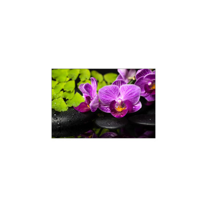 Fototapeta Orchidea Spa