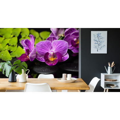 Fototapeta Orchidea Spa