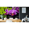 Fototapeta Orchidea Spa