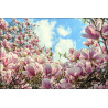 Fototapeta Kolorowa Kwitnąca Magnolia