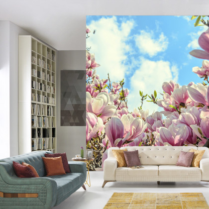 Fototapeta Kolorowa Kwitnąca Magnolia