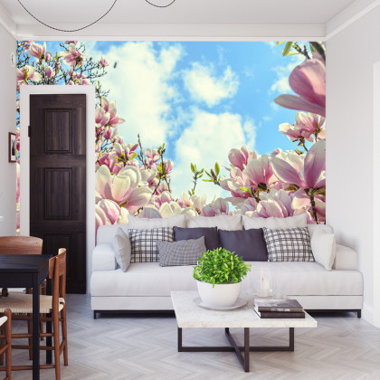 Fototapeta Kolorowa Kwitnąca Magnolia