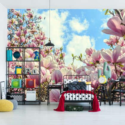 Fototapeta Kolorowa Kwitnąca Magnolia