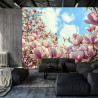 Fototapeta Kolorowa Kwitnąca Magnolia