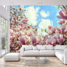 Fototapeta Kolorowa Kwitnąca Magnolia