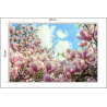 Fototapeta Kolorowa Kwitnąca Magnolia