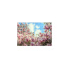Fototapeta Kolorowa Kwitnąca Magnolia