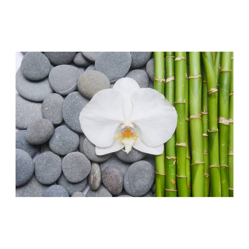 Fototapeta Bambusy Z Kamieniami I Orchideą