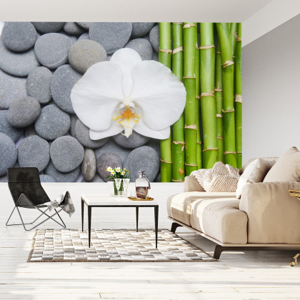Fototapeta Bambusy Z Kamieniami I Orchideą