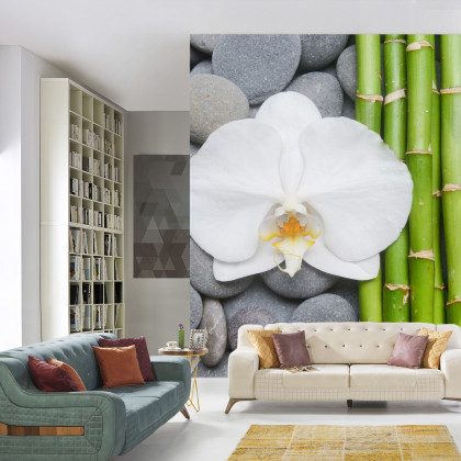 Fototapeta Bambusy Z Kamieniami I Orchideą