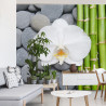 Fototapeta Bambusy Z Kamieniami I Orchideą