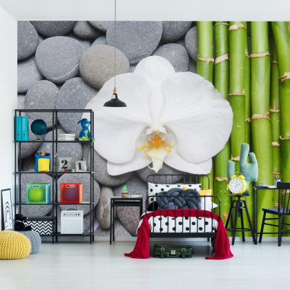Fototapeta Bambusy Z Kamieniami I Orchideą