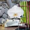 Fototapeta Bambusy Z Kamieniami I Orchideą