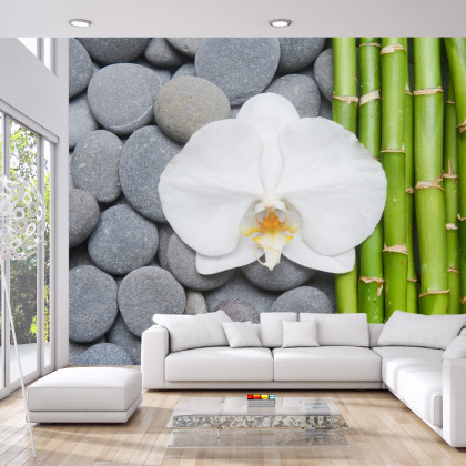 Fototapeta Bambusy Z Kamieniami I Orchideą