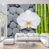 Fototapeta Bambusy Z Kamieniami I Orchideą