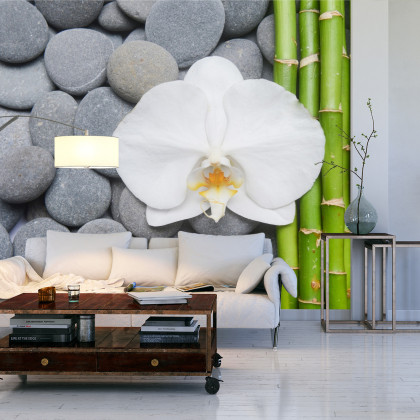 Fototapeta Bambusy Z Kamieniami I Orchideą